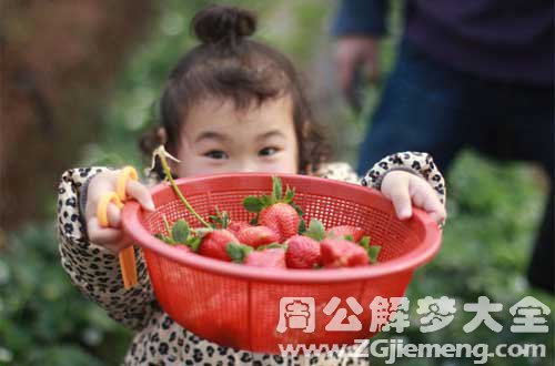 梦见摘草莓.jpg
