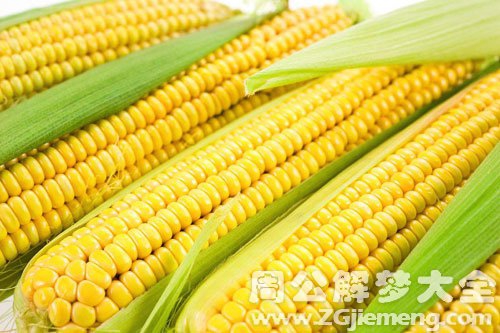 玉米-包谷