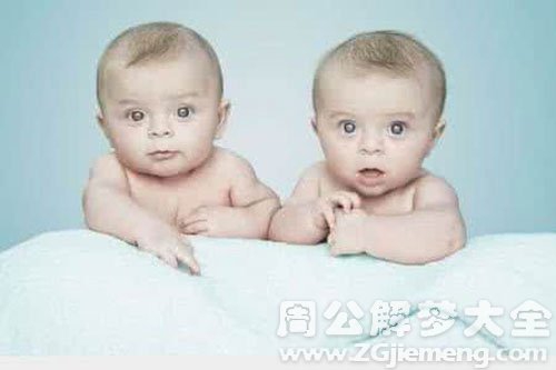 生了一对双胞胎儿子