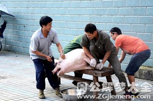 杀猪割肉