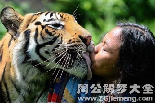 梦见老虎吃小孩