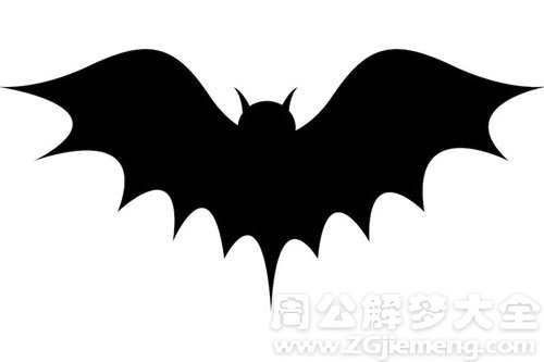 黑蝙蝠