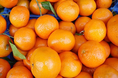 梦见摘橘子橘子很甜