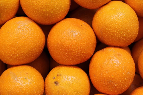 梦见摘橘子给家人吃