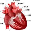 心脏与梦的关系
