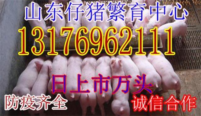 浙江一省就有好几条龙！这世上真的有龙存在？！