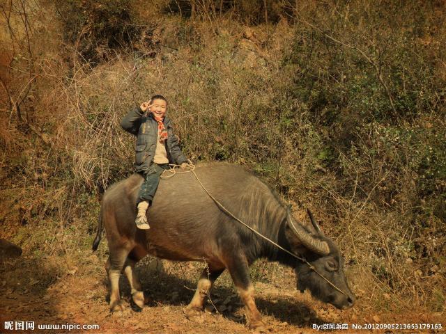 农村小孩放牛撞鬼！一次极其恐怖的经历！