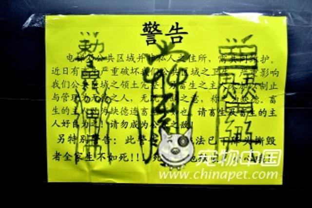 宠物总是离奇死亡，原来家中被人放了汲血符！