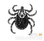 粤北农村娃讲述当地发生的真实灵异故事