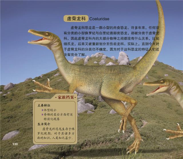 解说动物和凤凰之谜