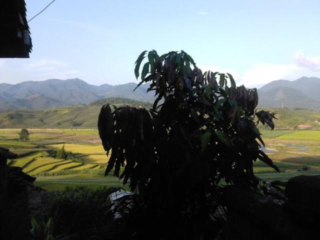 家乡传奇人物——王中农