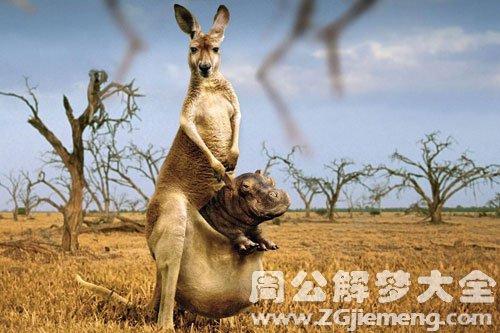 只想好好睡一觉6