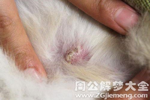 梦见疖子