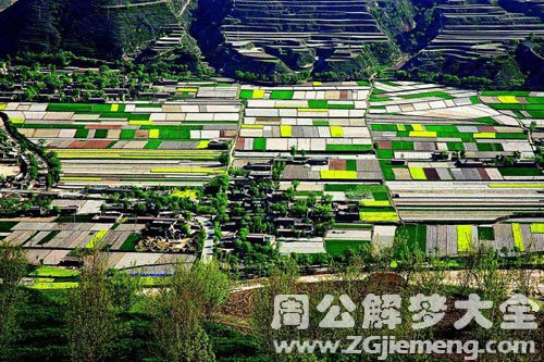 梦见地动