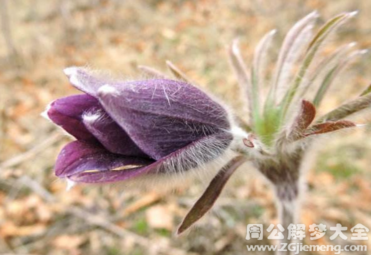 QQ截图20170605105812