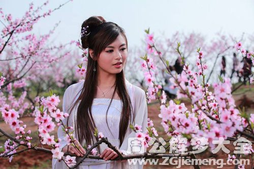 赏花