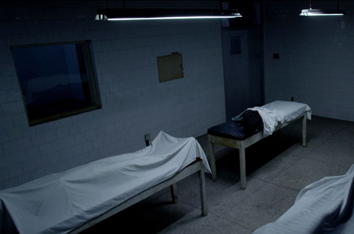 我遇见的真的是你们吗