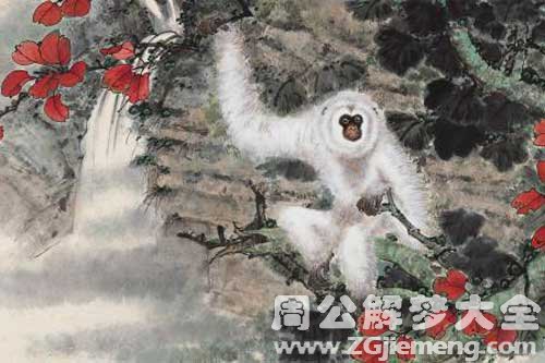 梦见白猿