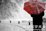 梦见下雪代表什么