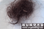 梦见掉头发 预示身体疾病