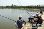 关于钓鱼的案例详解