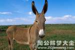 梦见驴是什么意思