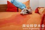 梦见尿床有什么寓意