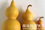 梦见葫芦代表什么