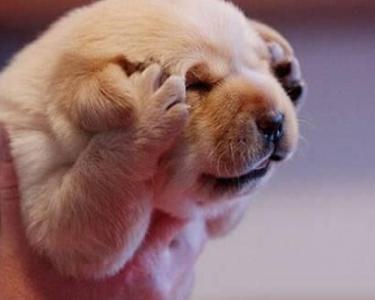 u=3125576111,1303589670&fm=27&gp=0