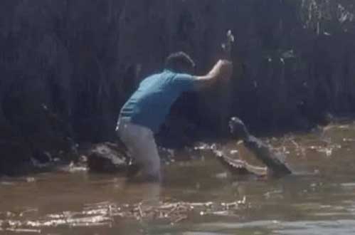 鳄鱼将男子拖入水中-次日将尸体送回