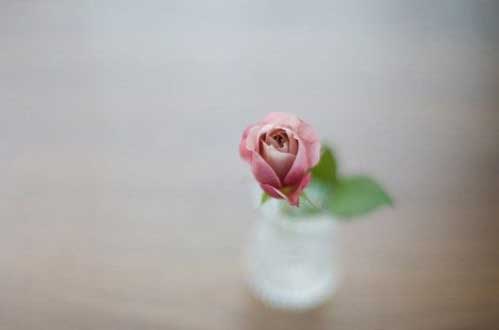 谁会成为你的初恋