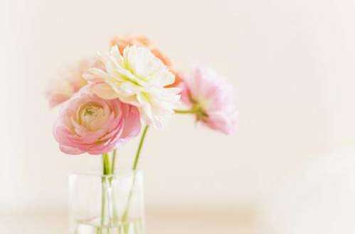 你会不会吃回头草