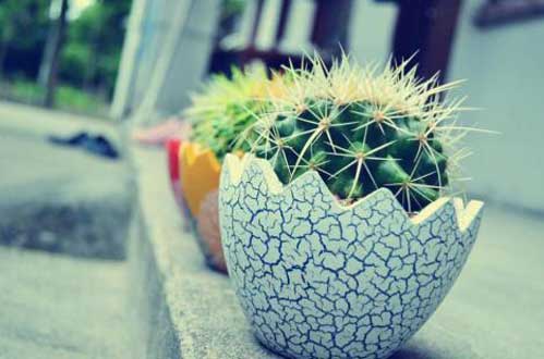 开车方式测出你男友的个性