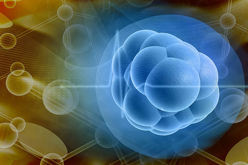 你有罗曼蒂细胞吗