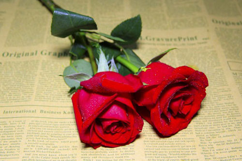 你的爱情长什么样子