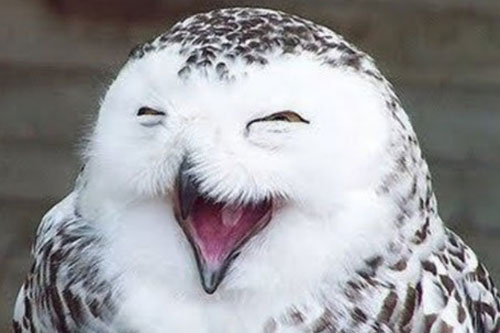 测测你在爱情中的专注度