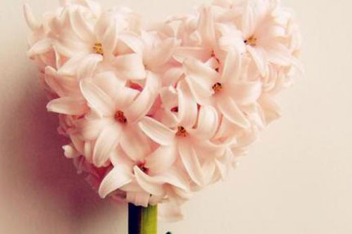 谁会是你的爱情坟墓