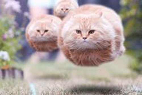 你是爱情魔法师吗