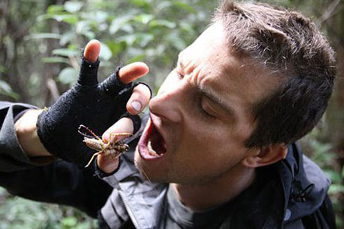 你是个爱冒险的人吗