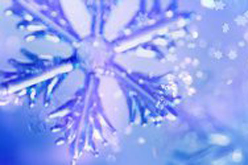 你是属于哪个季节的女孩