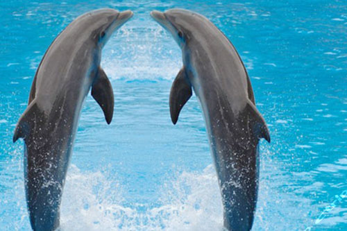 测测你有神秘的性格特征吗