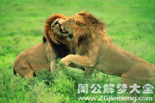 你会参与办公室的争斗吗