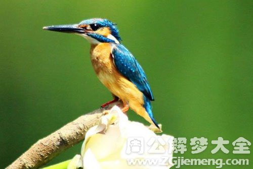 你的财运小人是谁呢