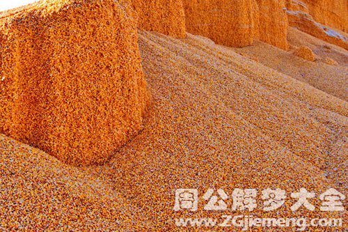 你的命里会有几座金山