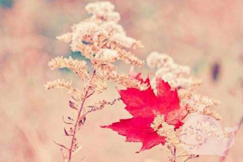 梦见此事，预示梦者将经历一场较大波折！