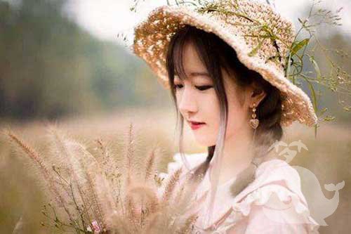 做此梦-代表温柔并略带狡诈