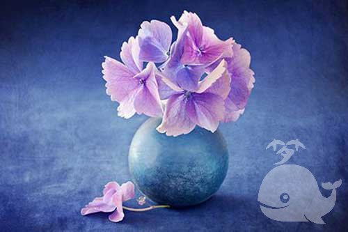 梦见此事-会给你带来一定的财富