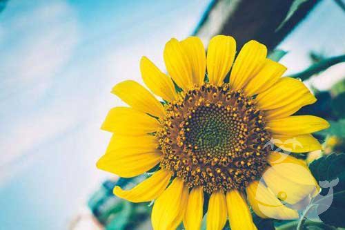 梦见这个-预示着做梦者的财运旺盛