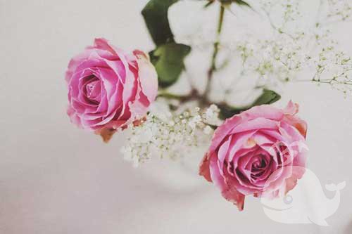 梦见此事-预示着生活会很幸福