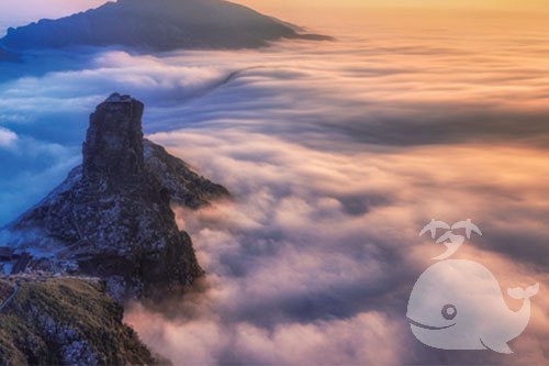 fe5cd8dc-2294-4fa1-8783-2fe3158f8cb2